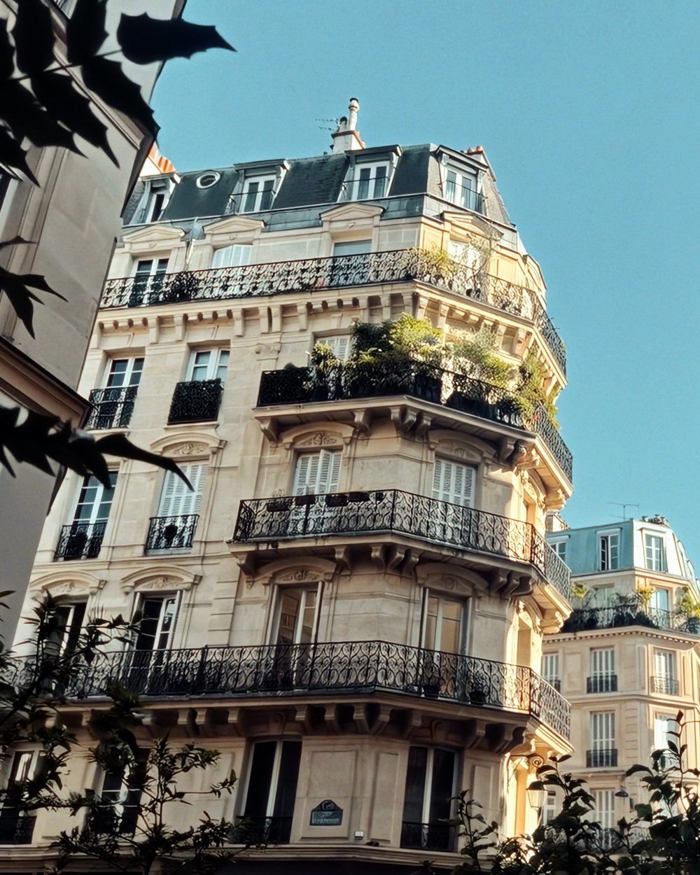 Paris balconies in morning sun, seen from the street