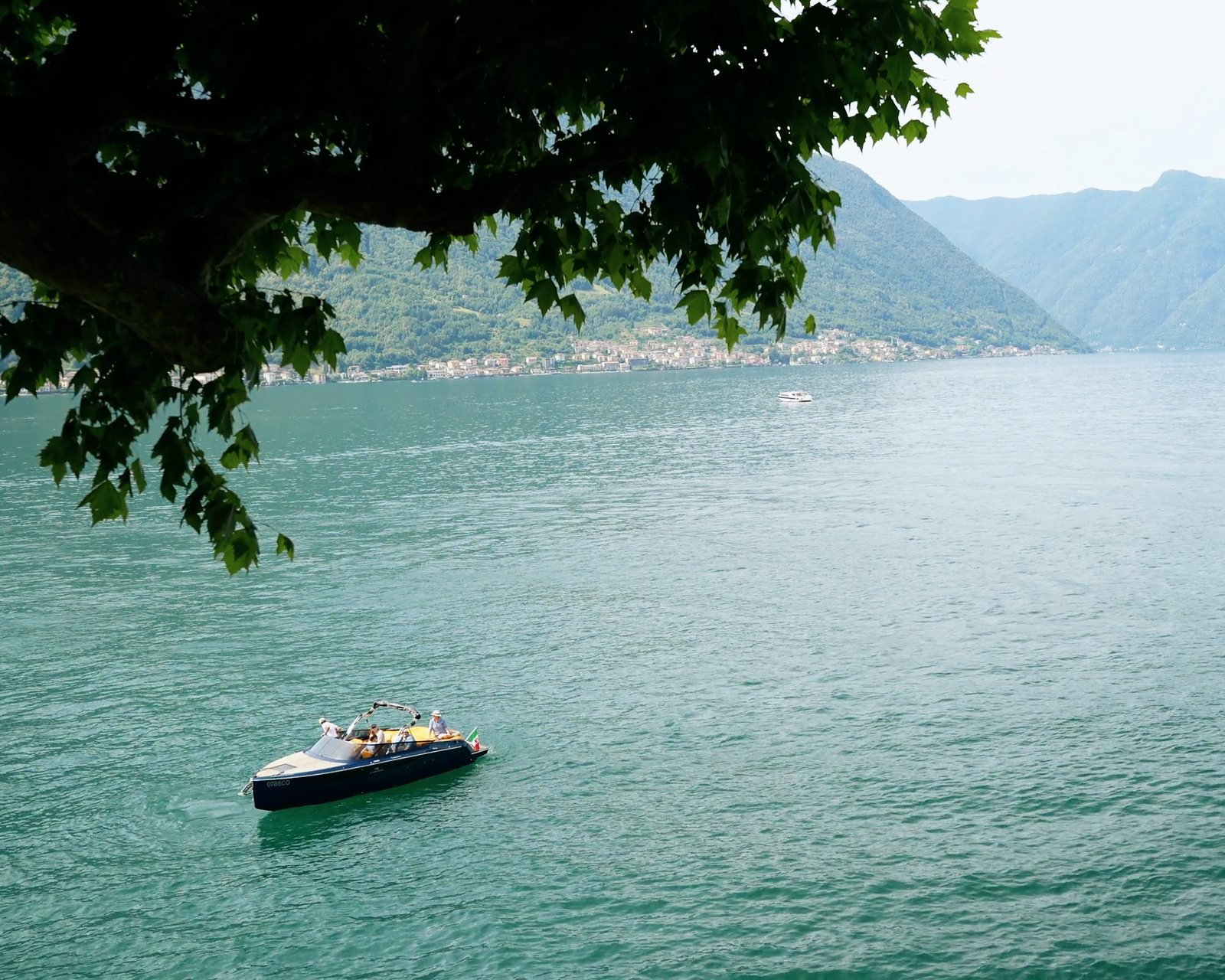 One boat on open water, seen from under the trees of a garden
